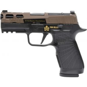 Para Bellum P320 3.9